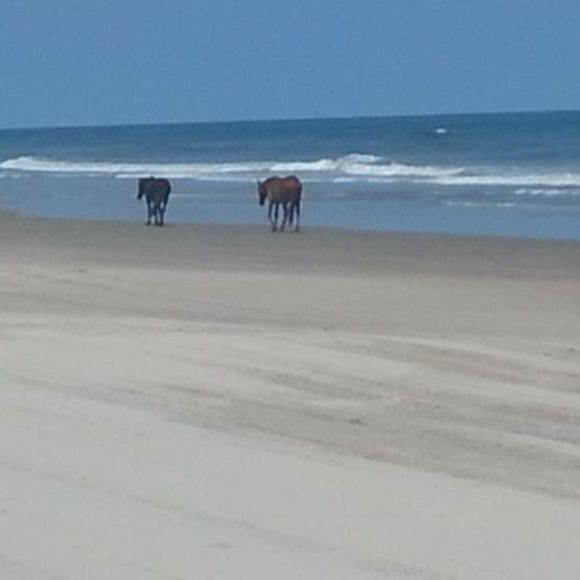 Meet your Posher, Laura - Picture 1 of 1